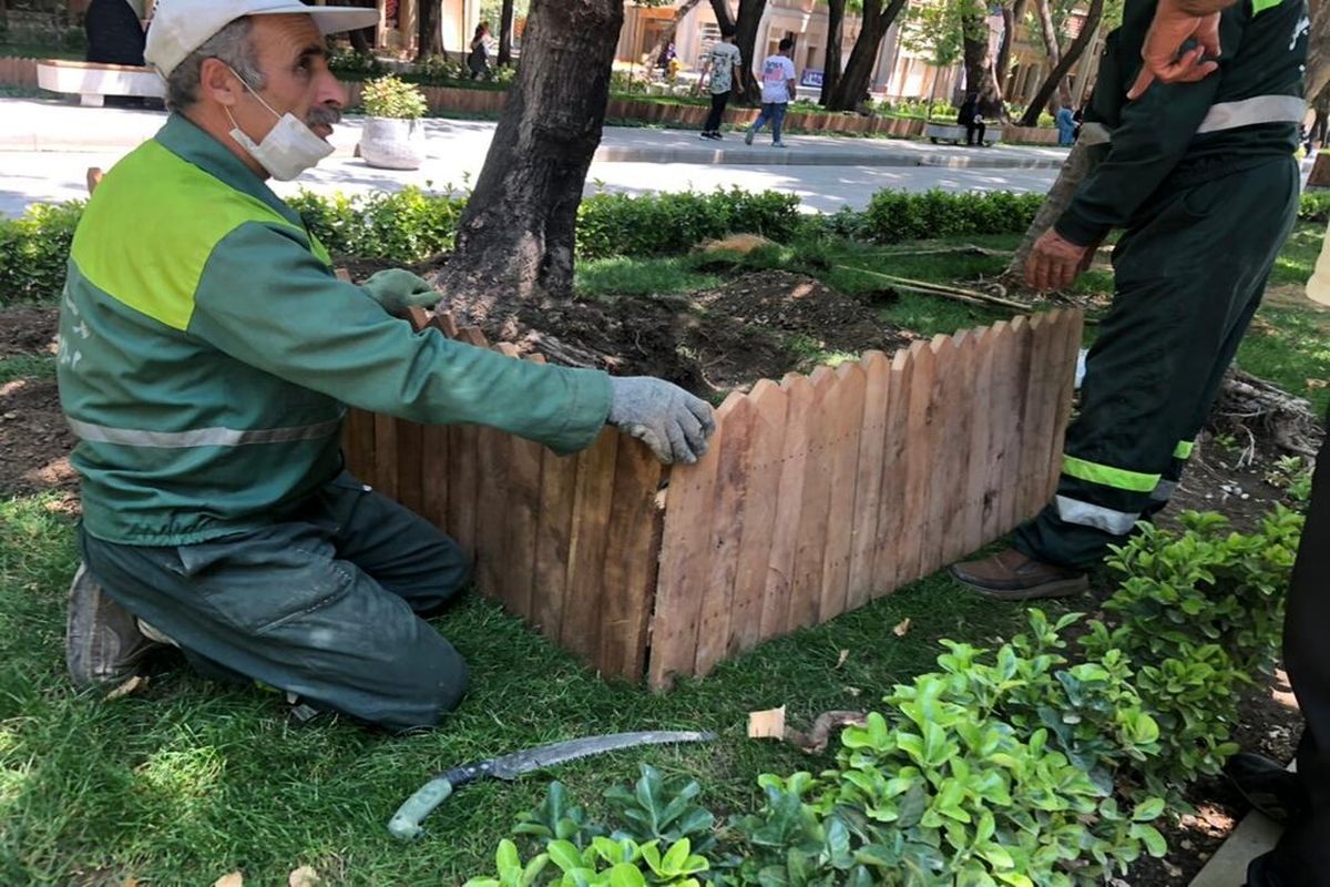 برگزاری «آیین درخت‌بانی» در شهر اصفهان