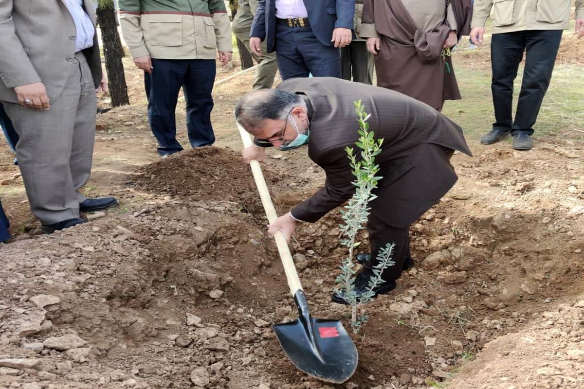 برگزاری مراسم روز درختکاری در بام لرستان با حضور استاندار