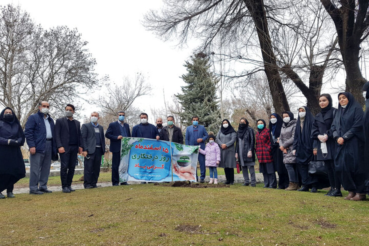 خبرنگاران استان همدان در هفته منابع طبیعی نهال کاشتند