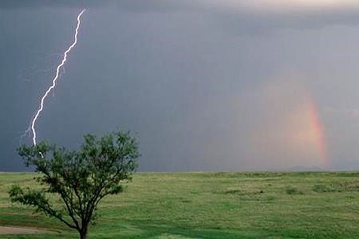 برخورد صاعقه در زمین زراعی ۶ مصدوم‌ بر جای گذاشت