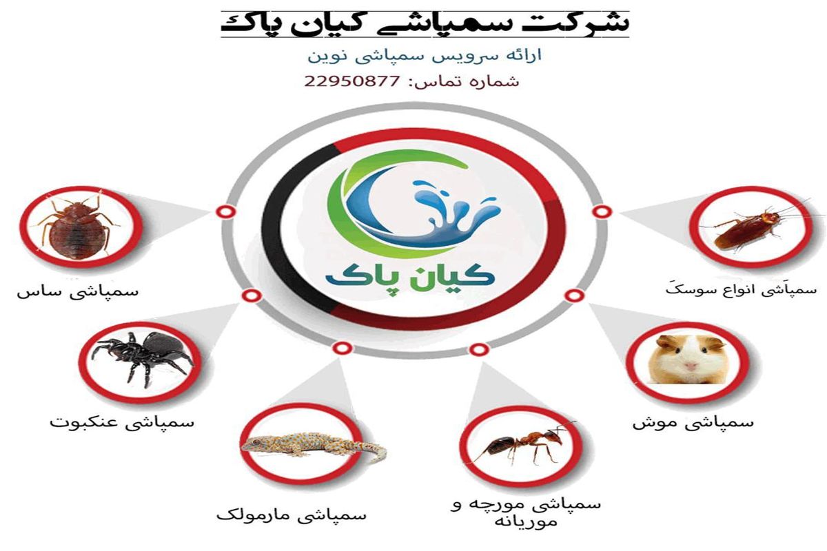 چطور از شر ساس راحت شویم ؟