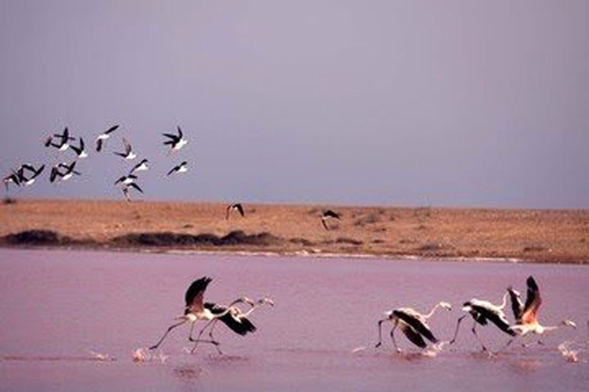 ثبت دریاچه لیپار در فهرست آثار طبیعی ملی