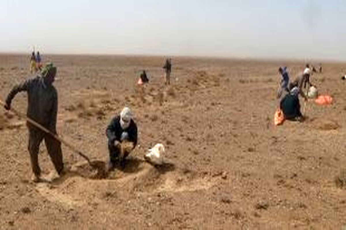 طرح ترسیب کربن در ۸ روستای نهبندان در دست اجرا است