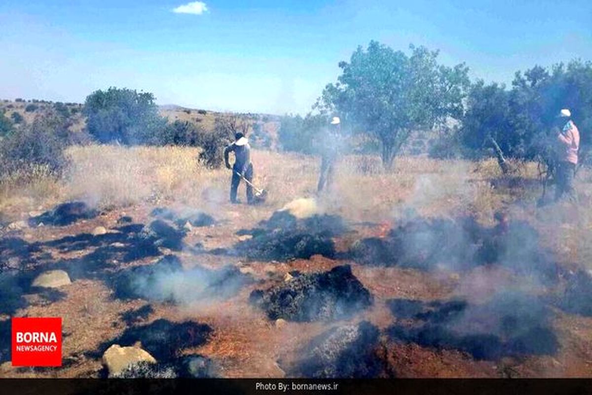 آتش در دیل گچساران بازهم زبانه می‌کشد