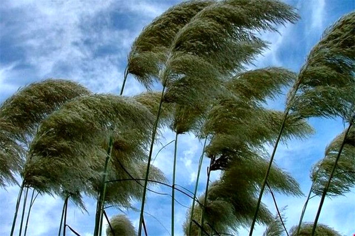 وزش شدید باد استان زنجان را فرا می‌گیرد