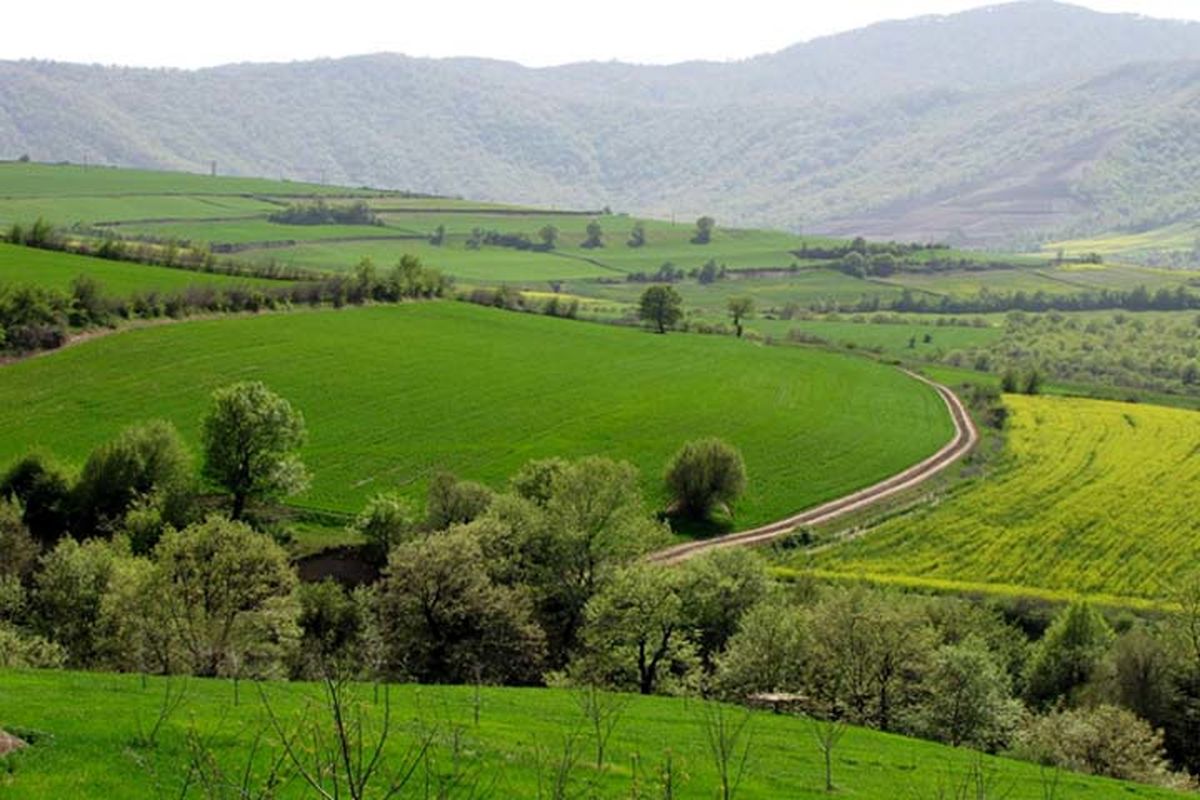 پارک ملی گلستان برای مقابله با آتش‌سوزی هوشمند می‌شود