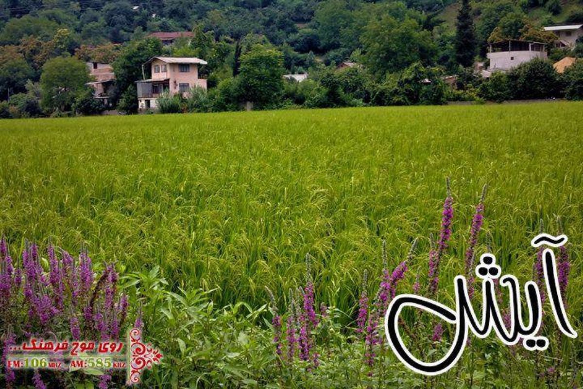 سفر به روستای پندر در استان یزد با "آیش"