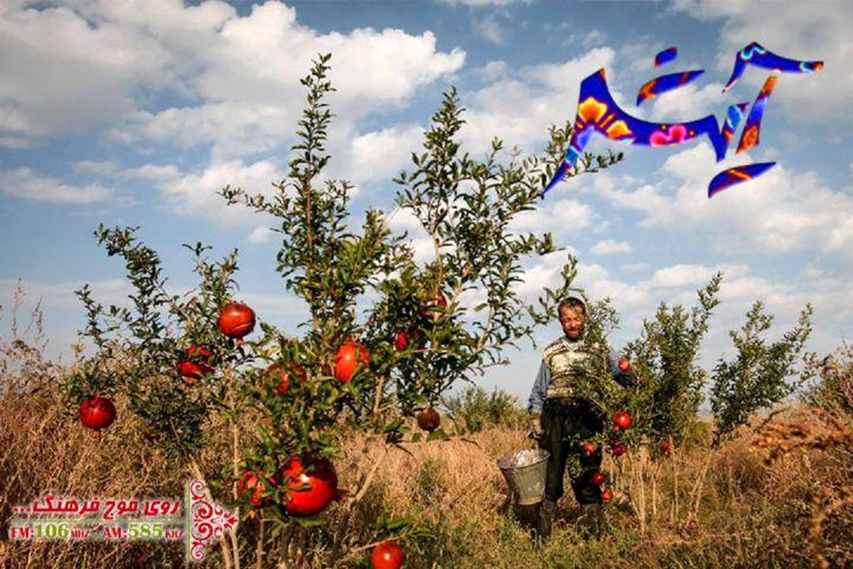 سفر به روستای ابوشانک در  برنامه رادویی «آیش»