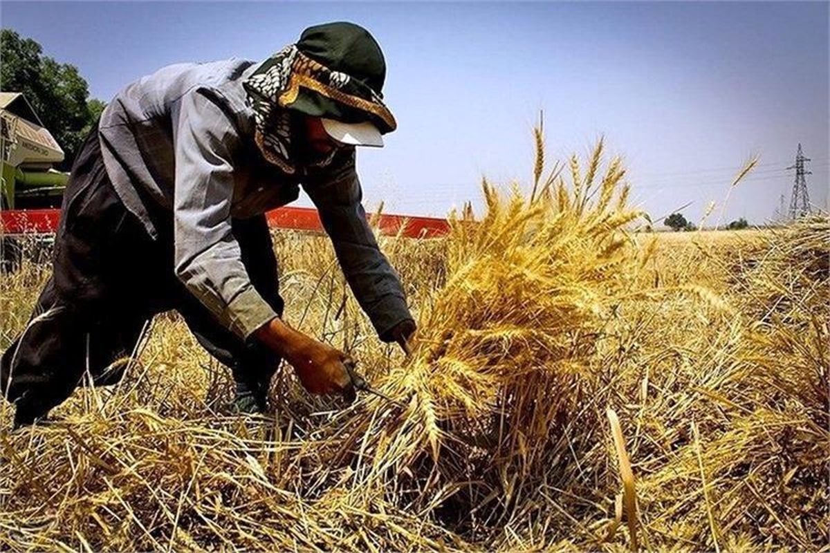 رشد ۱۷۶درصدی پرداخت زکات در بهار امسال/پرداخت ۳ میلیارد تومان زکات در خراسان شمالی