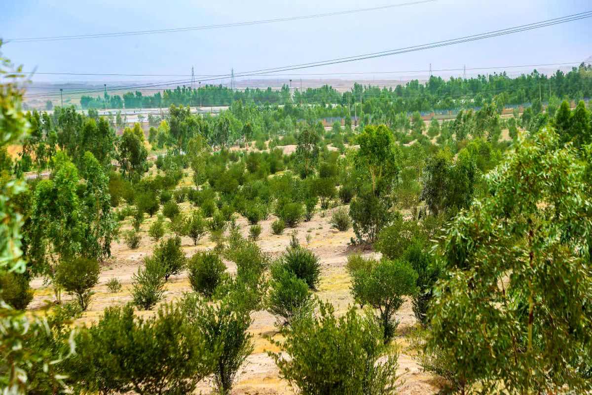 آغاز عملیات اجرایی بوستان جنگلی رﺿﻮان به مساحت ۴۰۰ هزار مترمربع