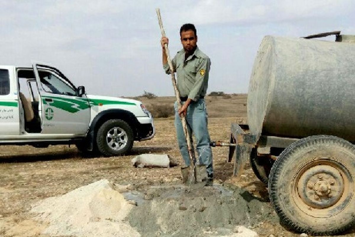 مناطق حفاظت شده استان همدان نیازمند تعمیر، اصلاح و ایجاد آبشخور جدید هستند/خشکسالی چالش پیش روی محیط زیست