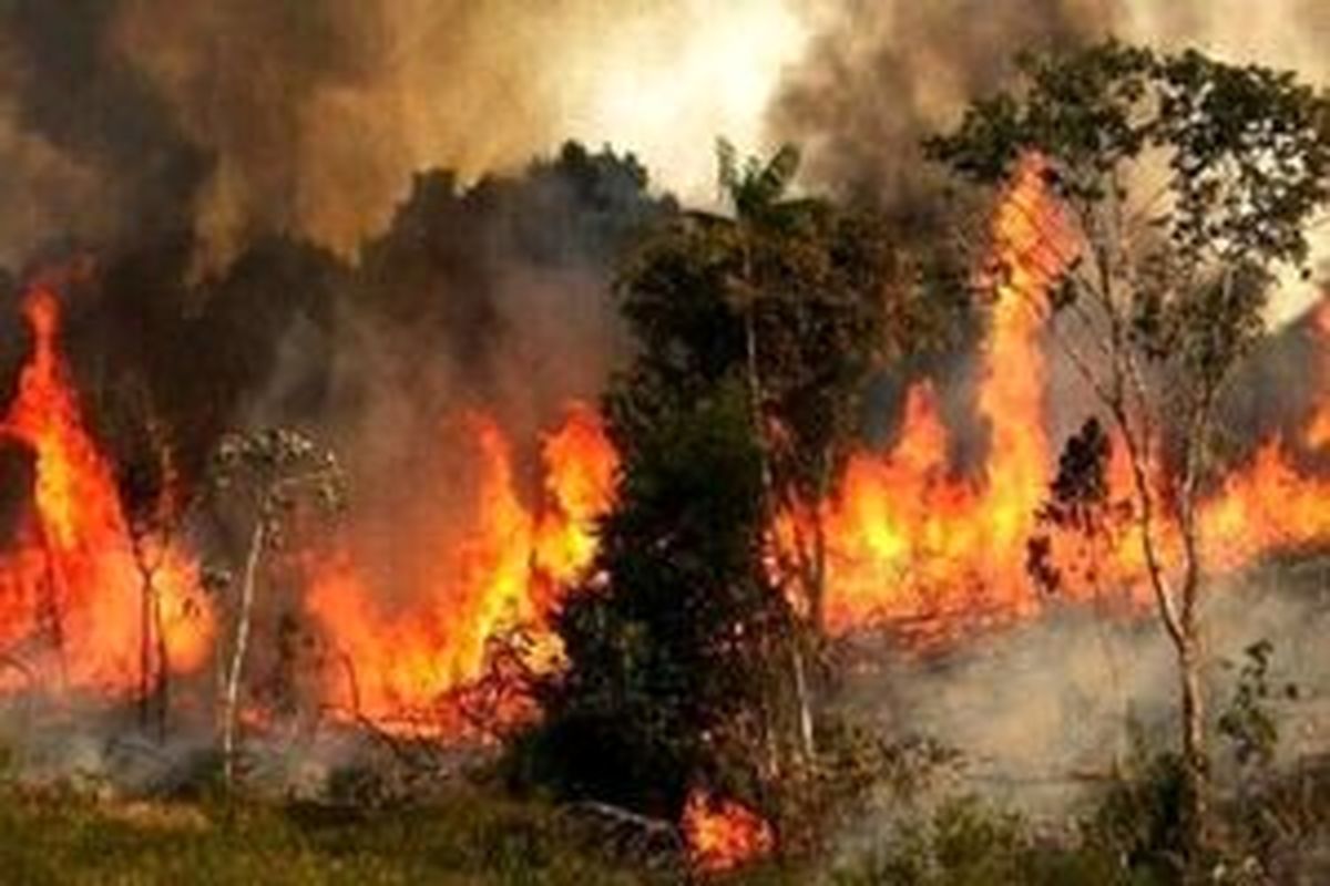 احداث پایگاه اطفای حریق در پارک ملی گلستان