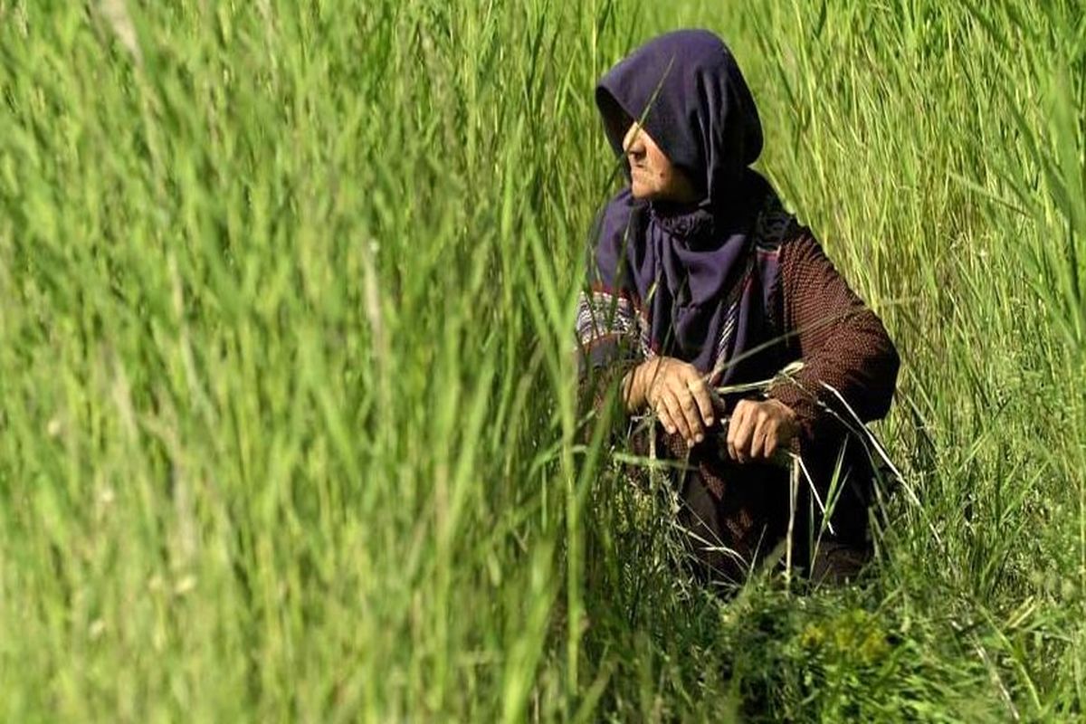 «پریزاد» بهترین مستند جشنواره ملل اتریش شد