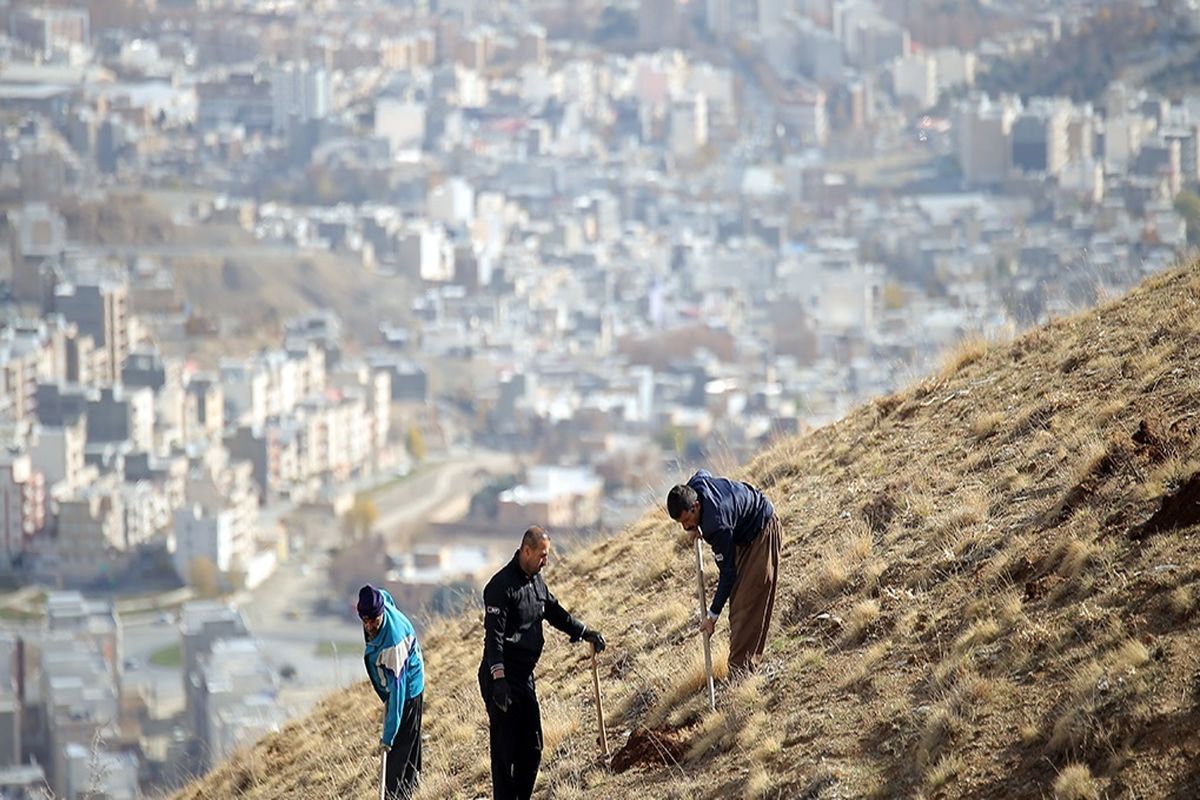 پویش مردمی احیاء جنگل‌های زاگرس در کردستان