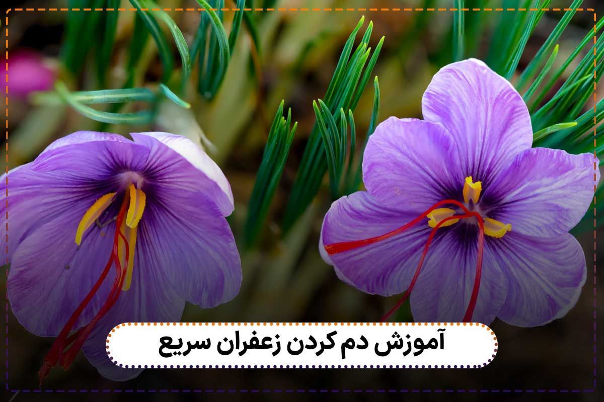 آموزش دم کردن زعفران سریع