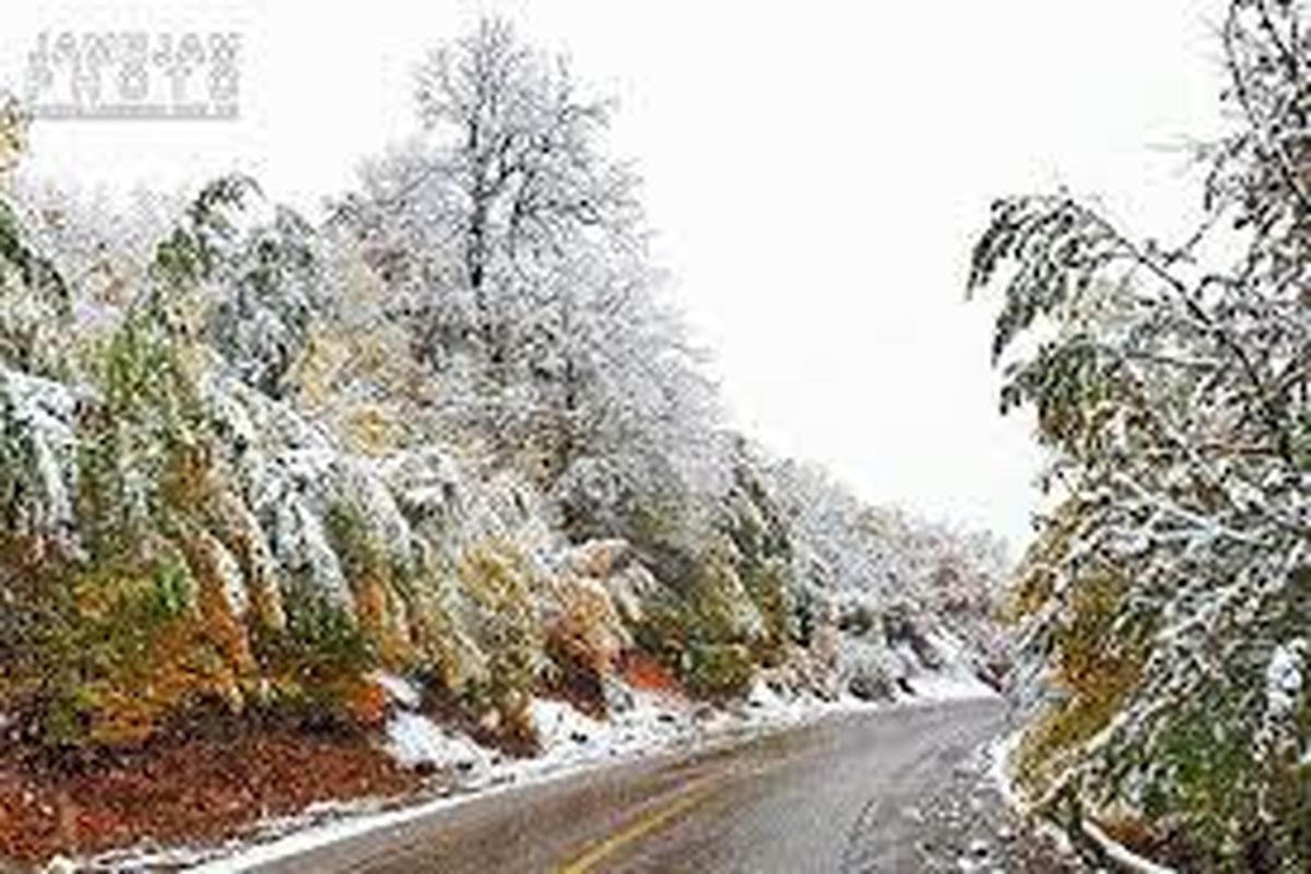 بارش برف در شهرستان آوج آغاز شده است