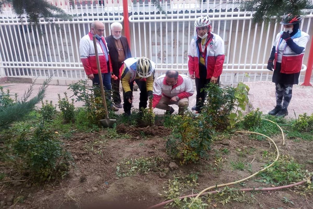 کاشت نهال صلح و دوستی توسط سفیران صلحِ  دوچرخه سوار در قزوین