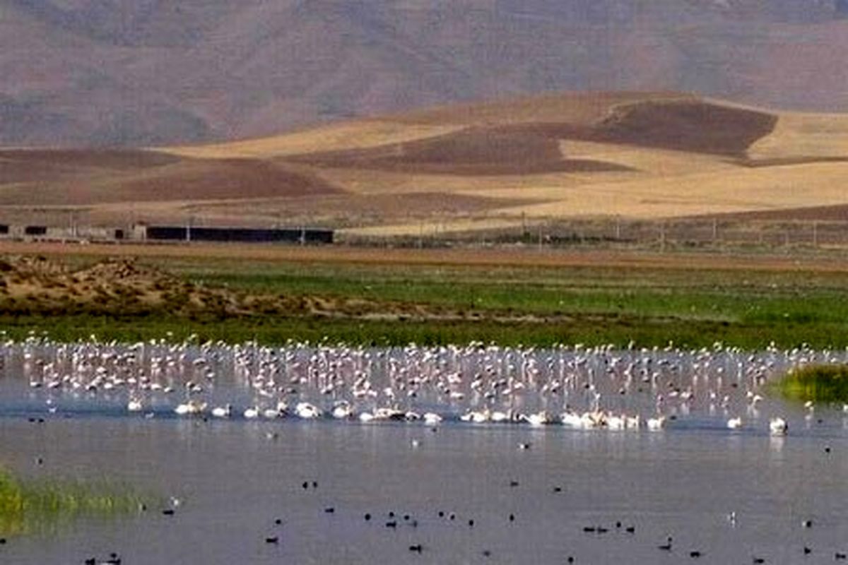 رهبردین : رهاسازی  ٢.۵ میلیون متر مکعب آب جهت احیای تالاب کانی برازان