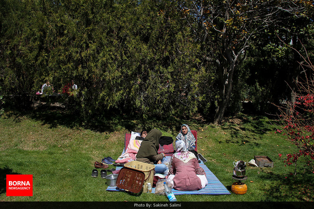 طبیعت را با بی مهری گره نزنیم