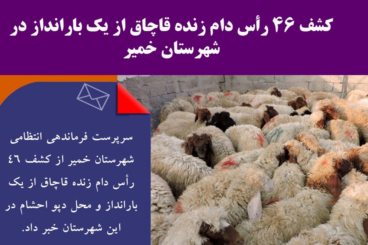 کشف ۴۶ رأس دام زنده قاچاق از یک بارانداز در شهرستان خمیر