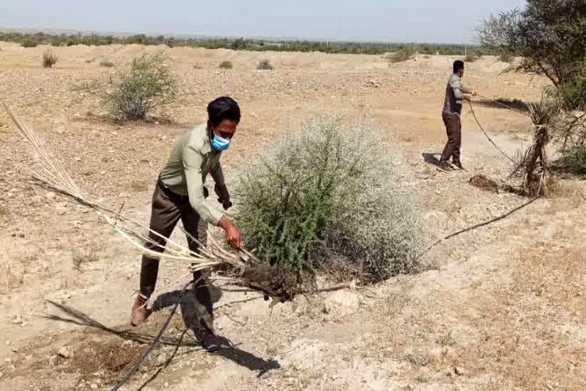 رفع تصرف ۸۲۹۵ مترمربع از اراضی ملی شهرستان میناب