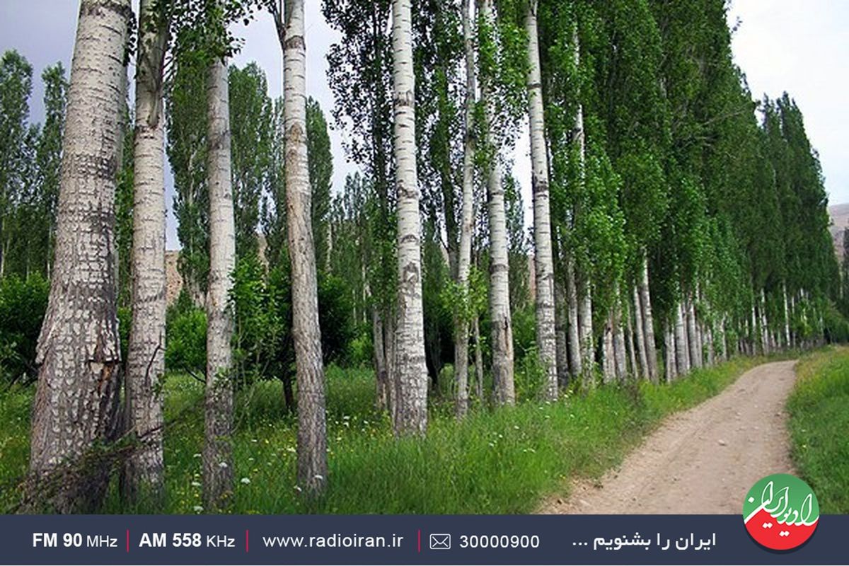 سفری به روستای «ارجمند» در راهی به آبادی