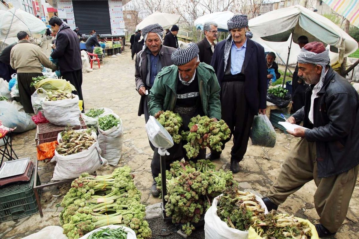 کردستان، زادگاه گیاهان وحشی و خوراکی