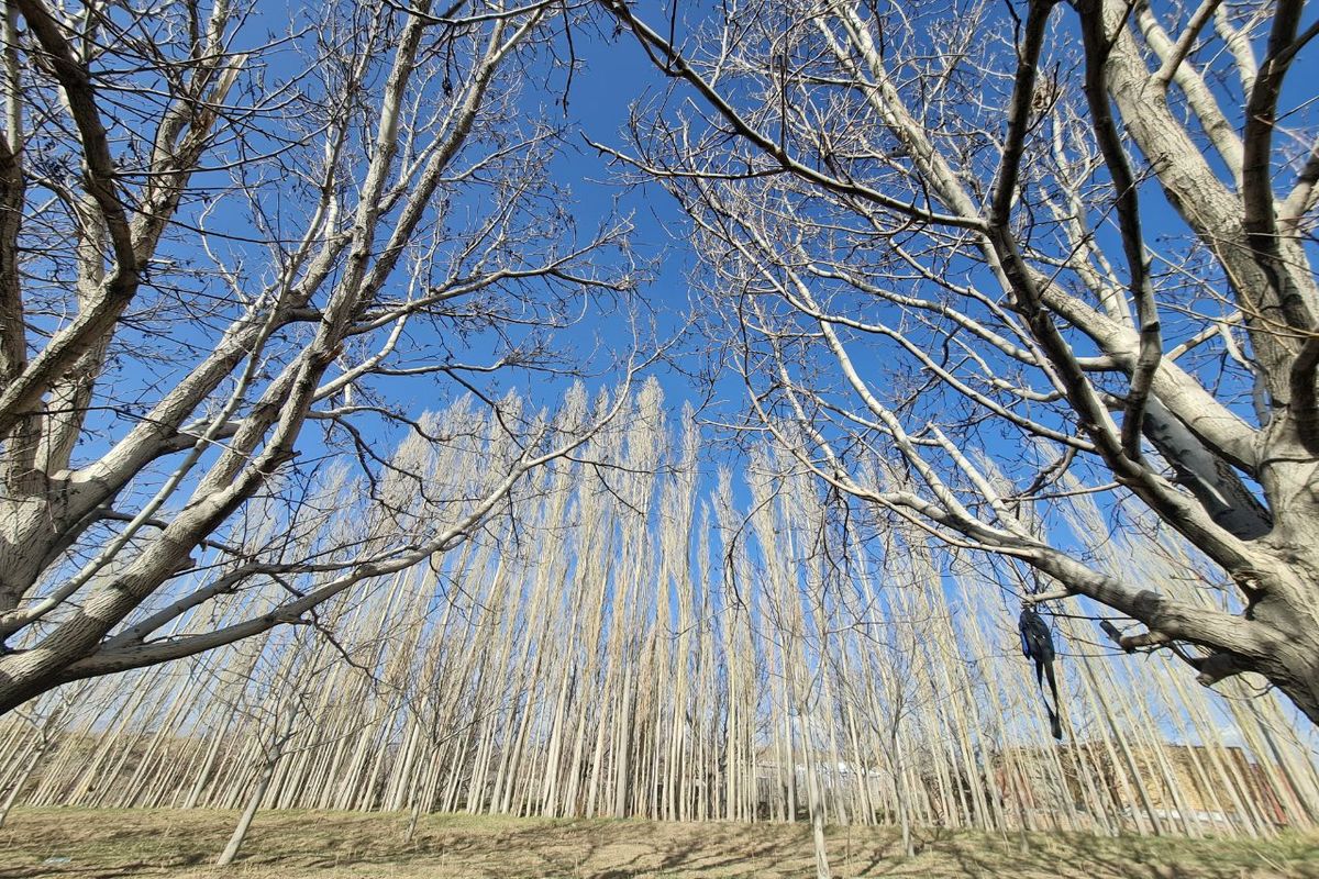 روستای فرکان، روستایی در دل کوه