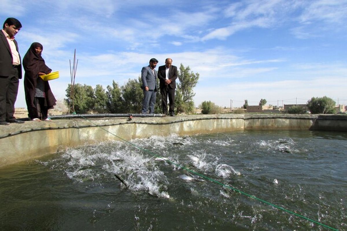 ۷۲۰۰ تن انواع ماهی از منابع آبی آذربایجان‌غربی برداشت می شود