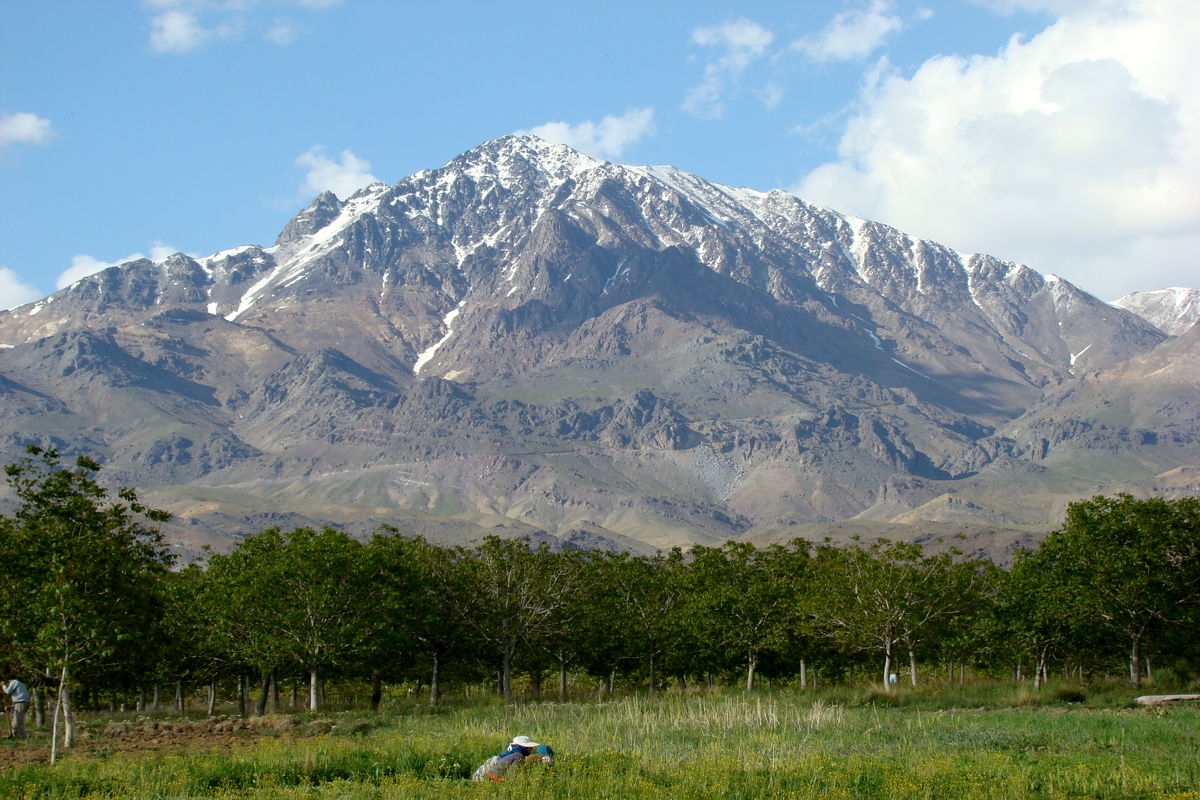 کوه شاه؛ گنبد جنوب کشور