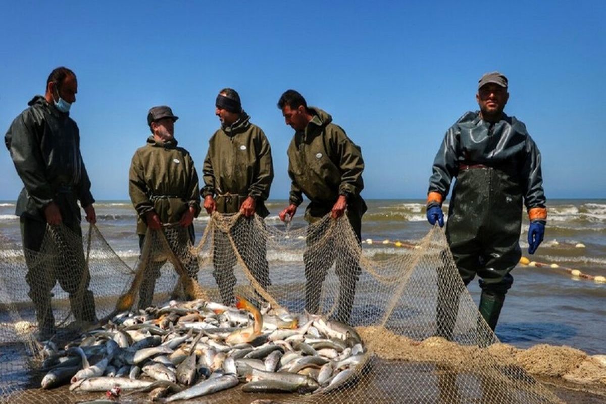 امیرعبداللهیان وضعیت جسمانی سفیر ایران در پکن را جویا شد