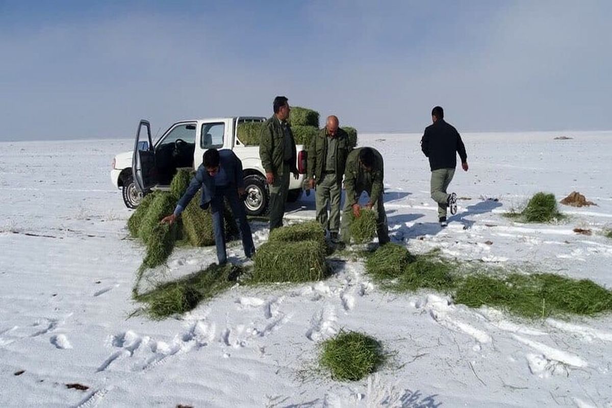 محیط‌بانان همیشه در صحنه‌اند حتی در برف و باران!