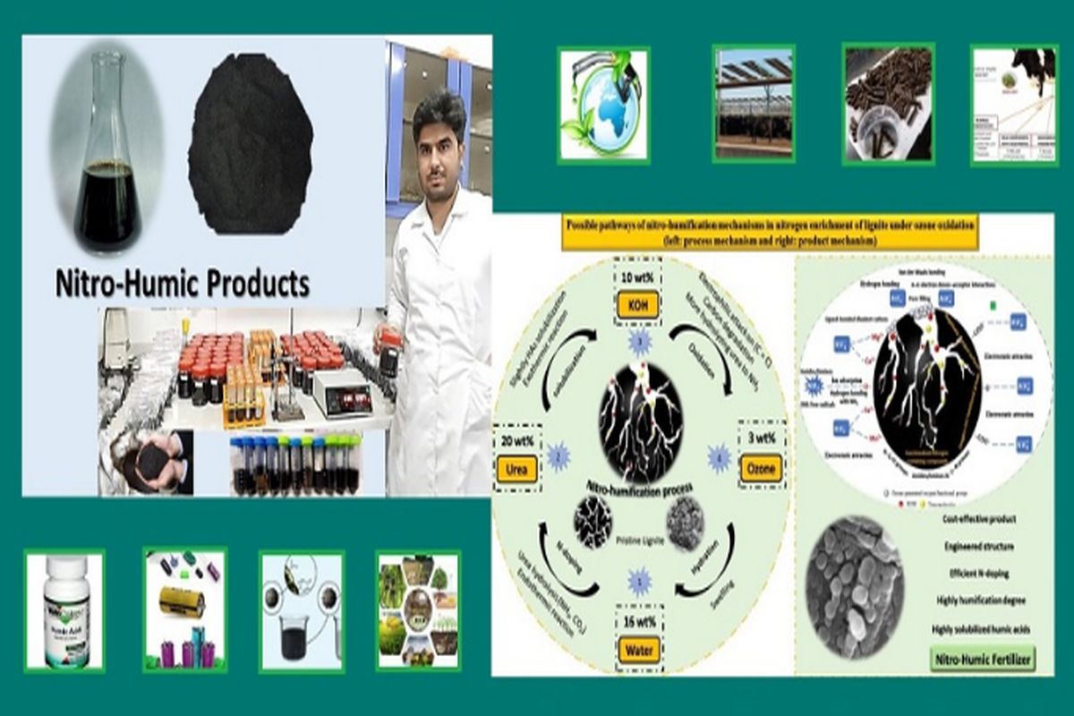 تولید ترکیبات هیومیکی غنی‌سازی‌شده با نیتروژن از پسماند معادن زغال سنگ