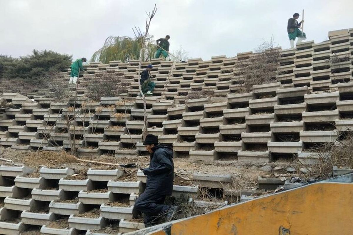 بدنه غربی بزرگراه آزادگان آماده کاشت گل و گیاه می شود