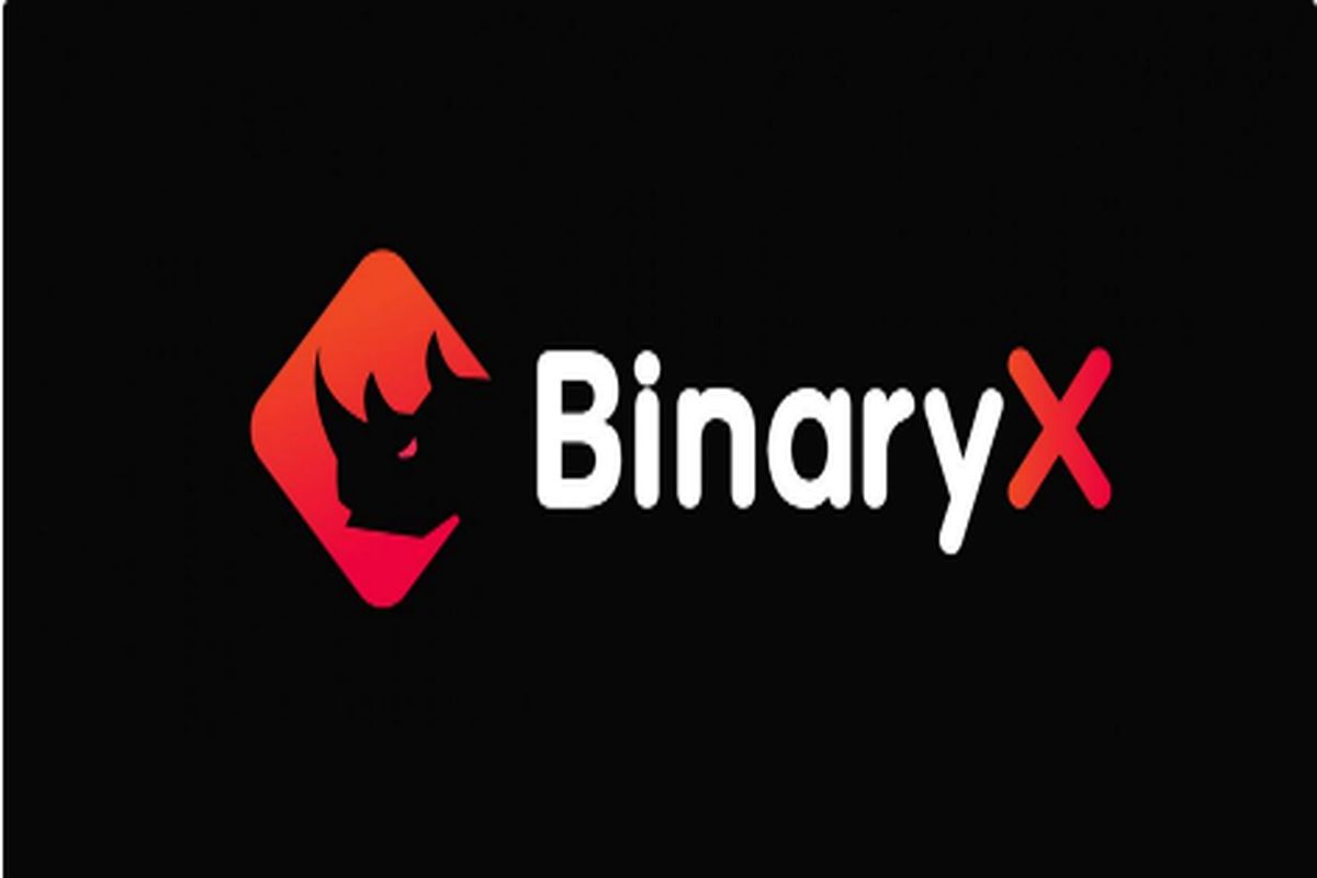 پلتفرم ارز دیجیتال BNX چیست؟