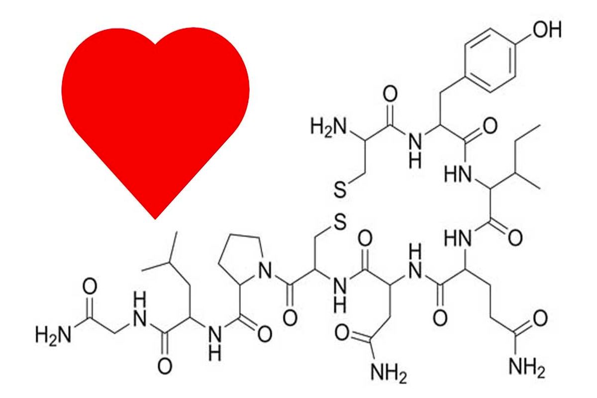 کشف حقیقتی عجیب درباره هورمون عشق