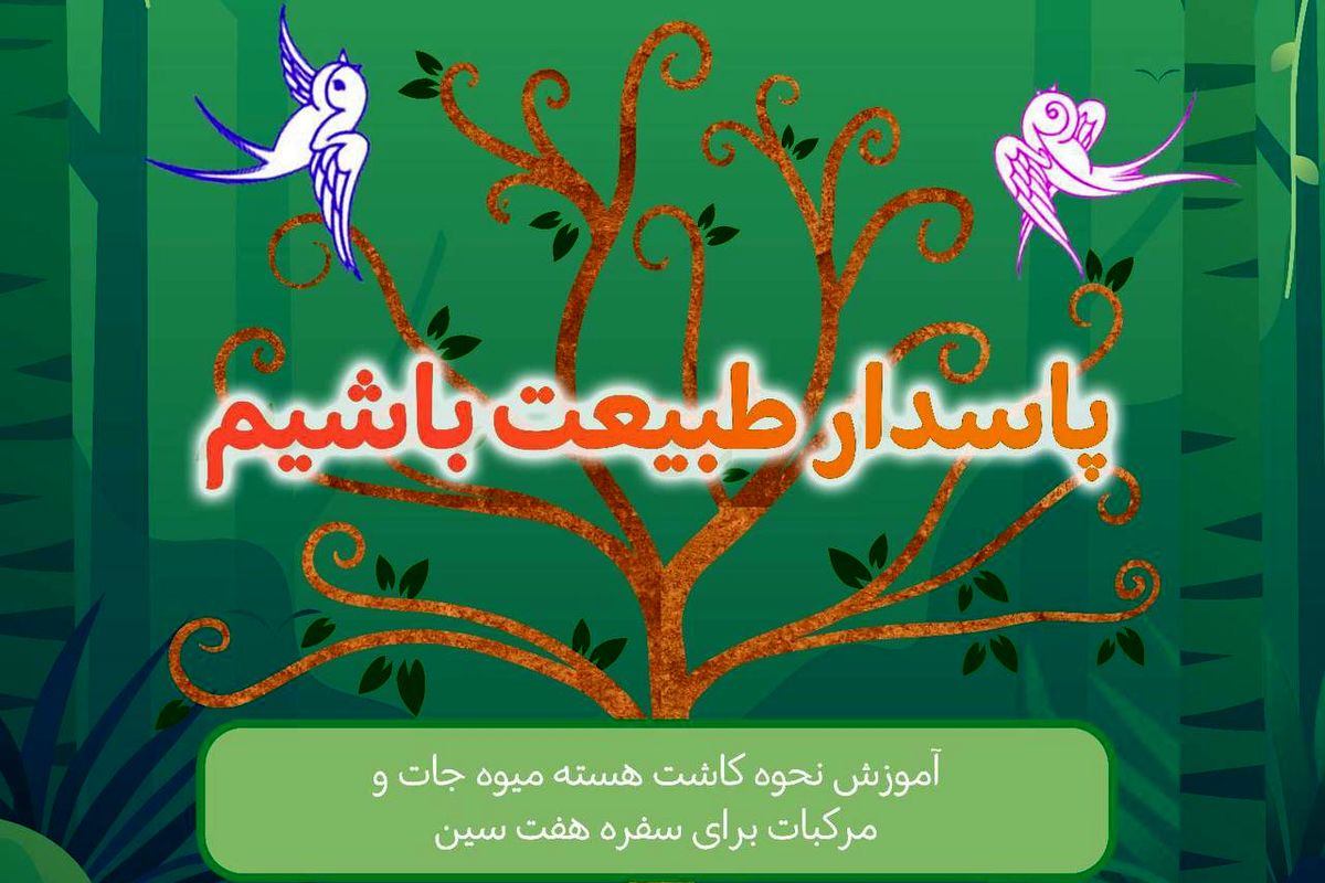 آموزش کاشت هسته های میوه و مرکبات برای سفره هفت سین