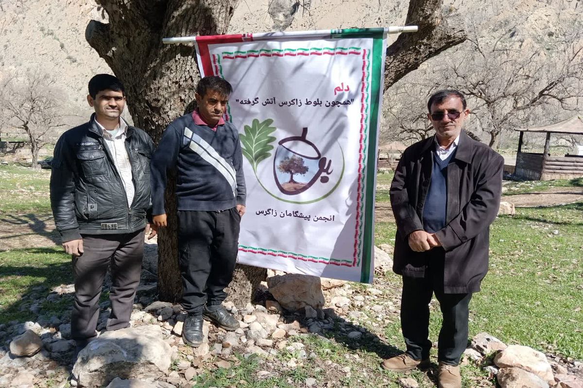 نهال کاری در ۱۰ هکتار از اراضی ملی دشتک دیل گچساران انجام شد