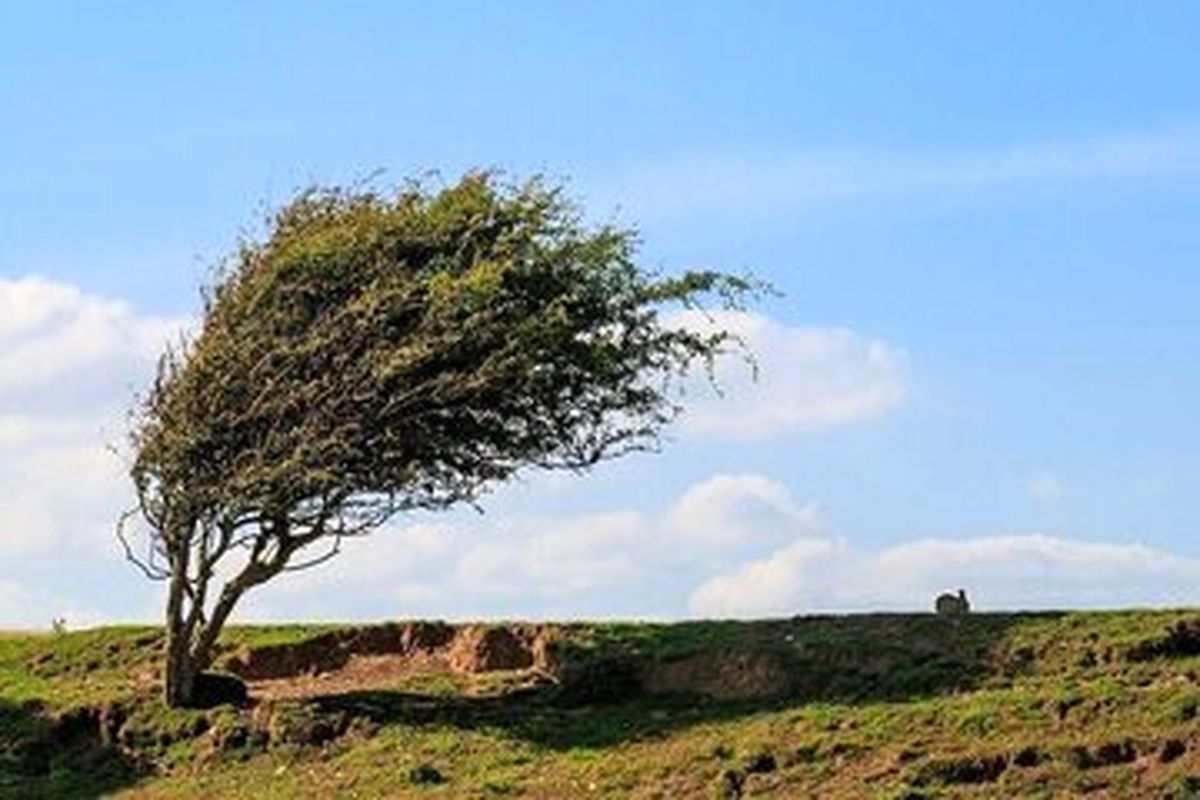 وزش باد شدید در اغلب مناطق کشور/ افزایش دما از روز شنبه