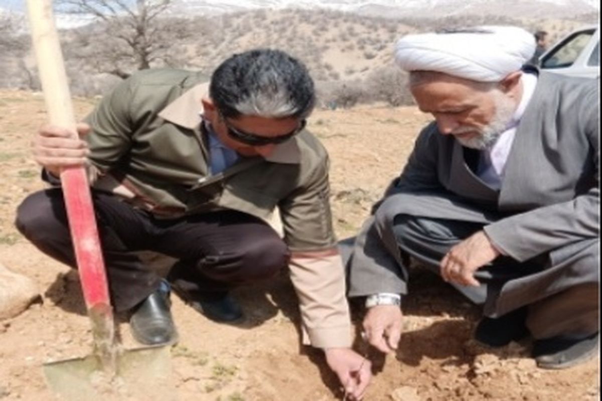 پویش «هر دانشجو، یک نهال» در راستای  هفته منابع طبیعی وتحقق طرح مردمی کاشت یک میلیارد درخت