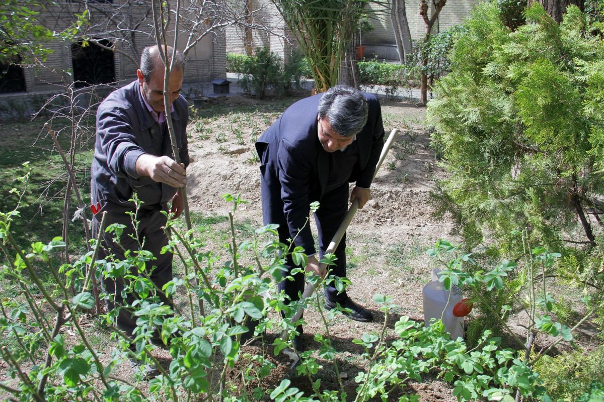 کاشت درخت یادبود «رسول ملاقلی‌پور» توسط رئیس سازمان سینمایی