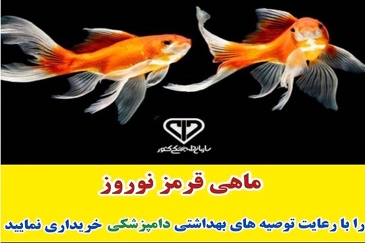 هشدار اداره کل دامپزشکی در خصوص خرید ماهی قرمز در آستانه شب عید