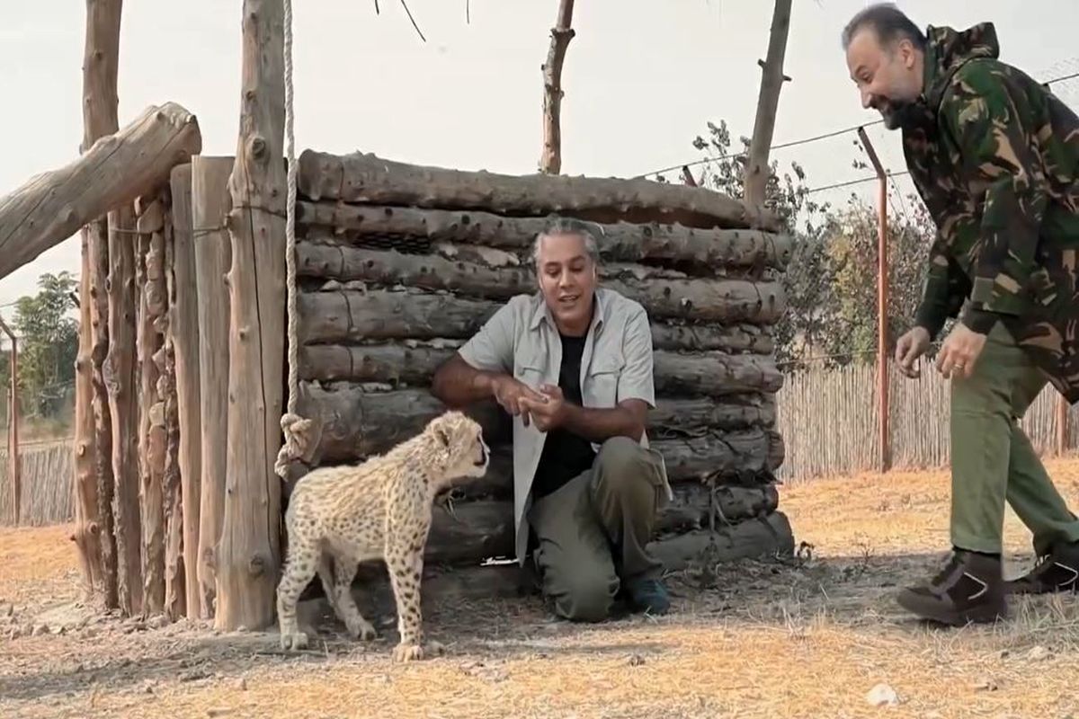 محمد دلاوری با «بی‌واسطه» در ایام نوروز می‌آید + فیلم