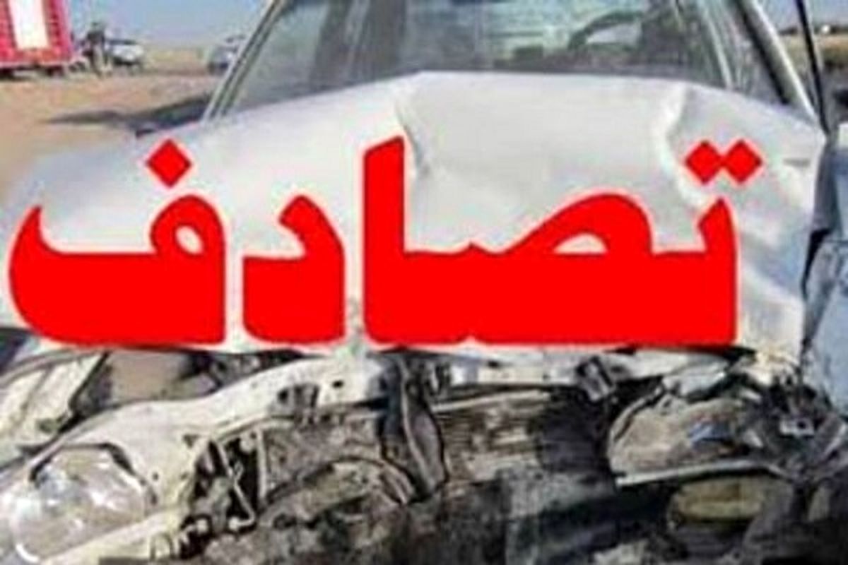 واژگونی خودروی حامل اتباع بیگانه با ۱۲ کشته و مجروح