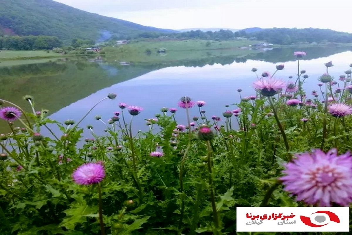 "دریاچه ویستان " مقصدی تماشایی و دیدنی در شمال