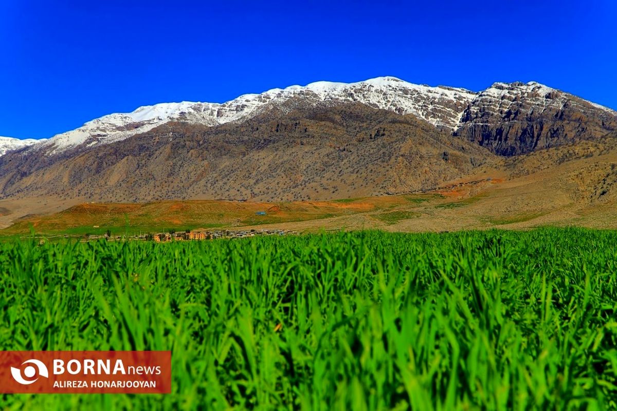 "دشت شیمبار خوزستان" را با بهار می شناسند+عکس