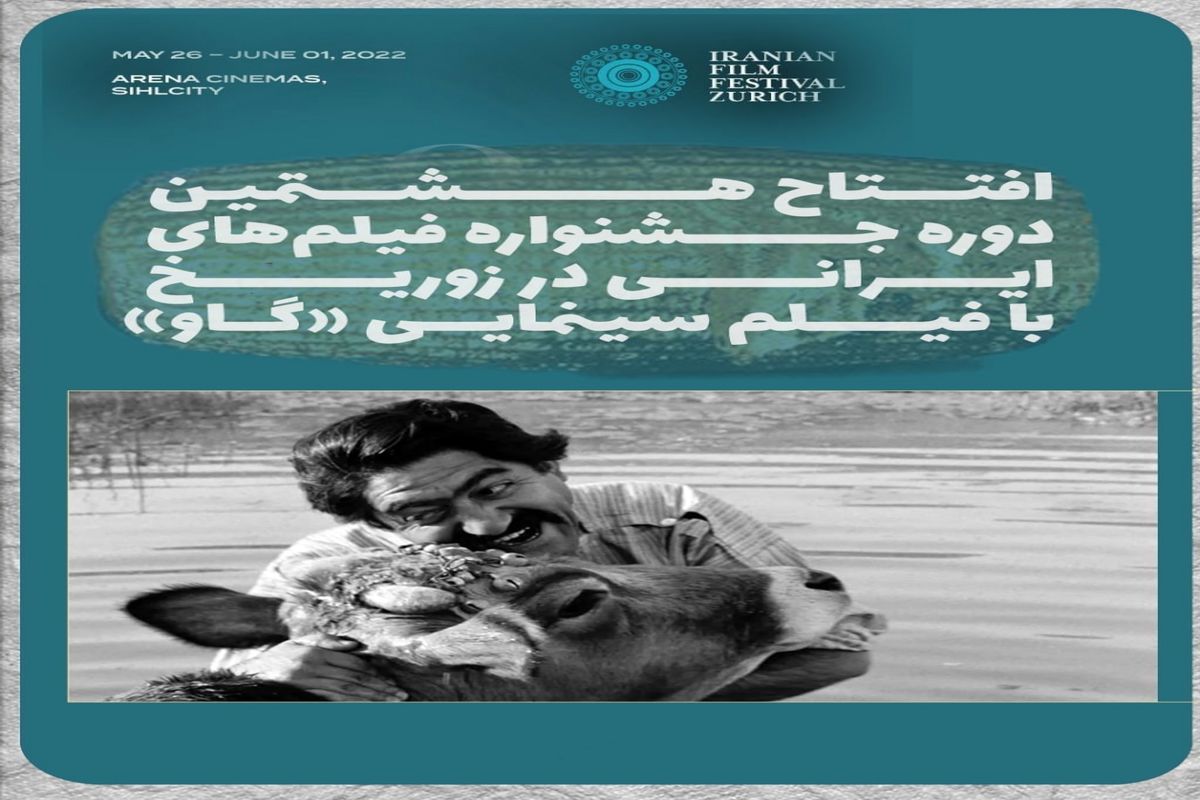 جشنواره فیلم‌های ایرانی در زوریخ با «گاو» مهرجویی افتتاح می‌شود