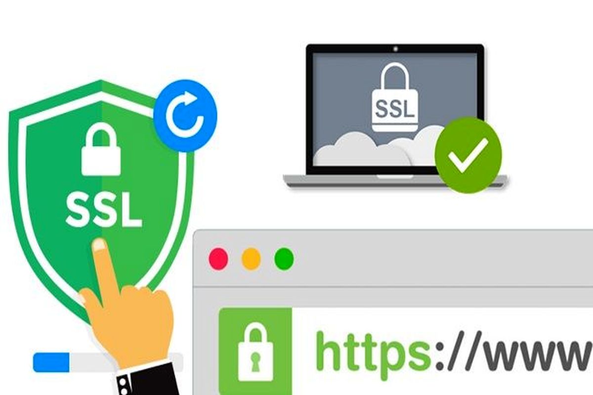 معرفی انواع گواهی نامه ssl و تفاوت های آنها