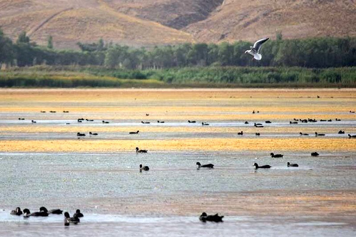 خشک شدن تالاب‌ها چه تاثیری بر زندگی مردم می‌گذارد؟