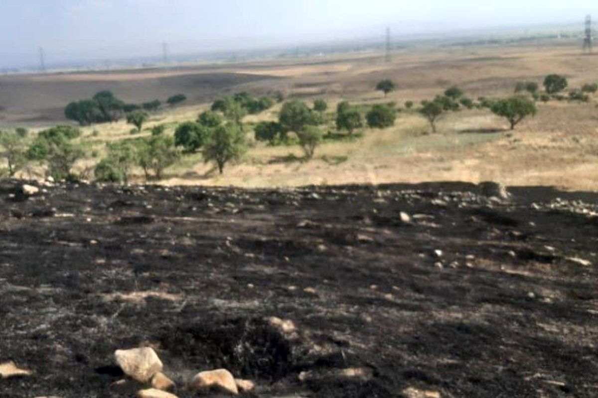 ۵ هکتار از باغات روستای یانس آباد از توابع آبیک دچار حریق شد